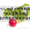 らでぃっしゅぼーやめぐる野菜箱アイキャッチ